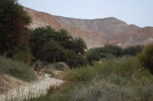 israel