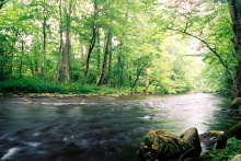 Large-Oconaluftee-River01